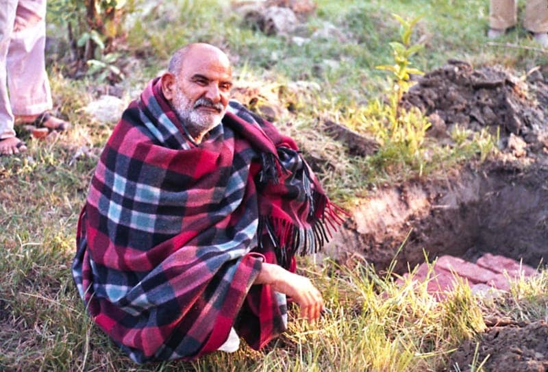 Neem Karoli Baba seated on the grass in a red plaid blanket, beside a freshly dug hole and a newly planted sapling
