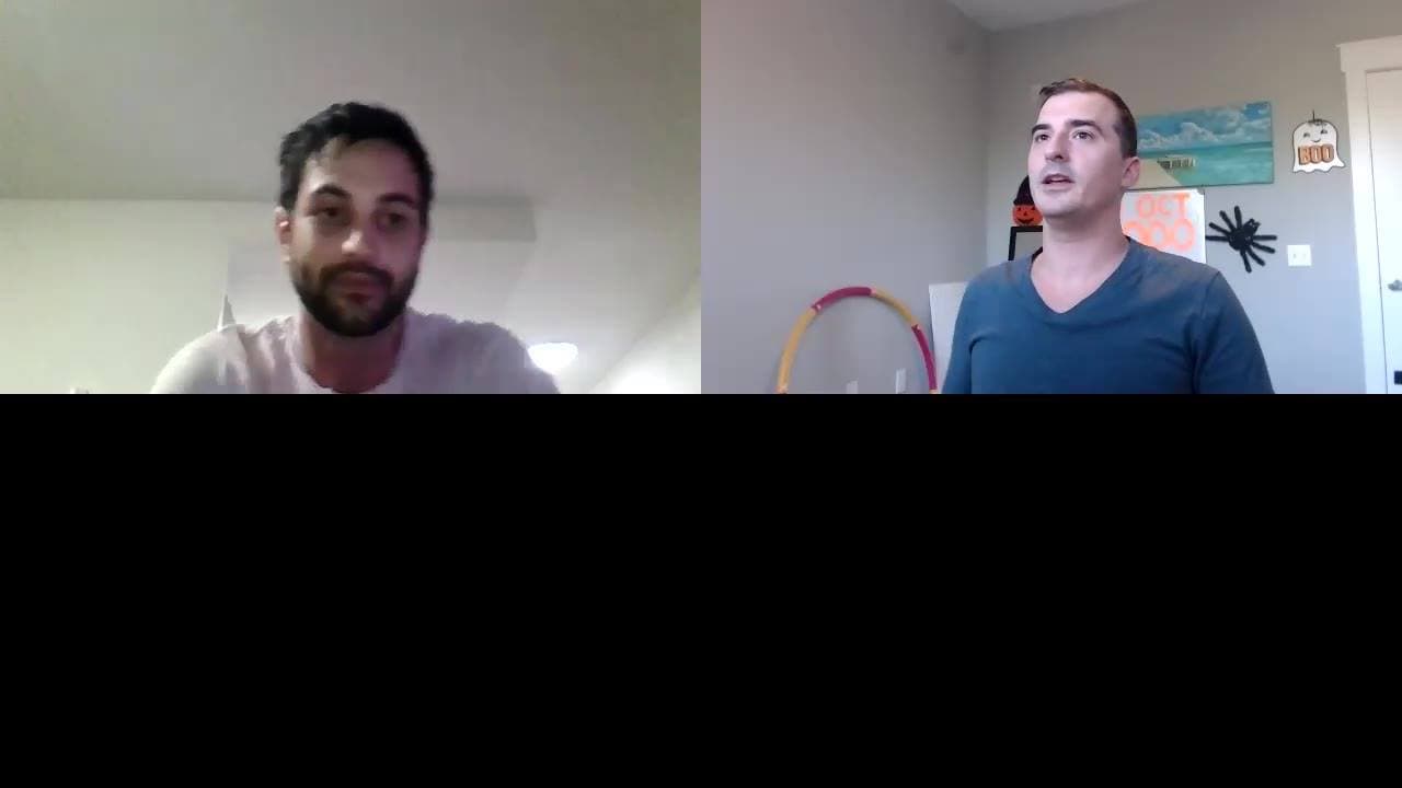 Split-screen video call between a bearded man in grey and a man in a blue V-neck beside a beach painting.
