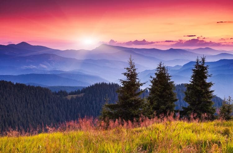 A vivid pink and orange sunset over layered mountain ridges, with pine trees and a meadow in front.